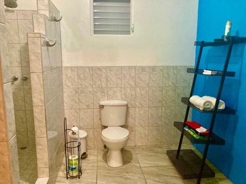 Hostal Jaguar Morning Star