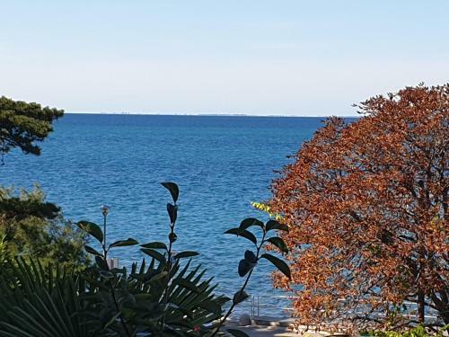 Sea View Terrace Apartment Izola