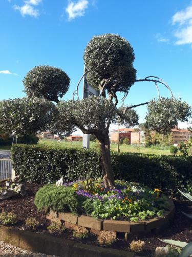 Apartma Marisol