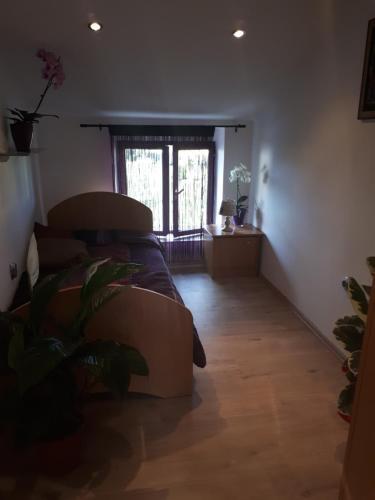 Apartma Marisol