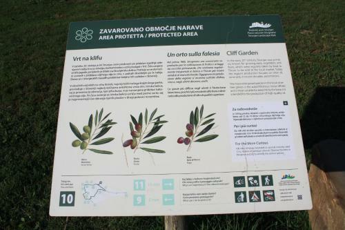 Apartments Villa Sandi