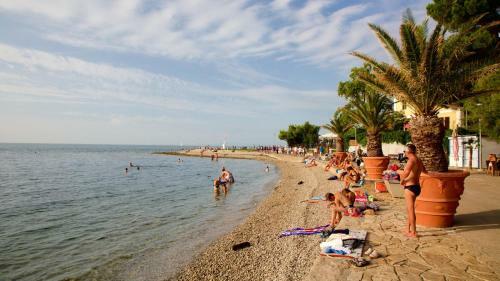 Apartma Lavela