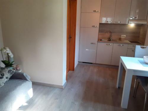 Ms Apartments