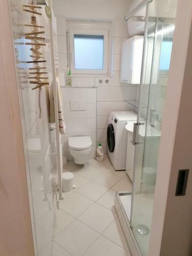 Apartma Ladinka