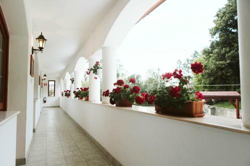 Hotel Janka Villa