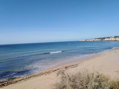 Sons Do Mar - Charming Apartment By The Sea