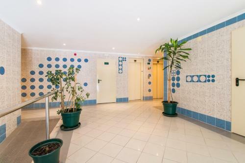 Beach Paradise Apartment