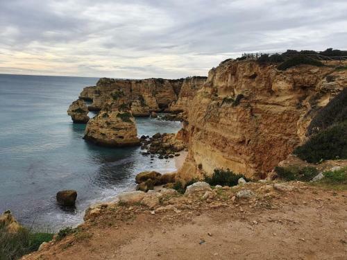 Apartamento New Petit Paradise
