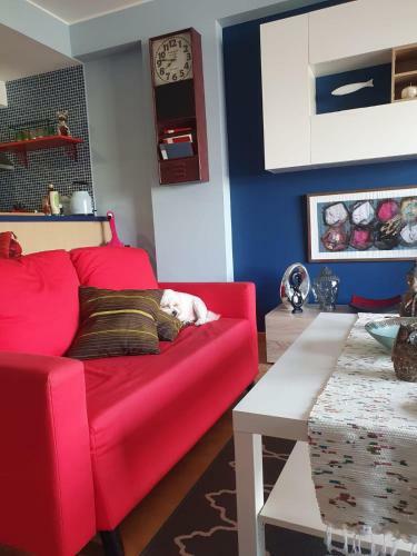 Apartamento New Petit Paradise