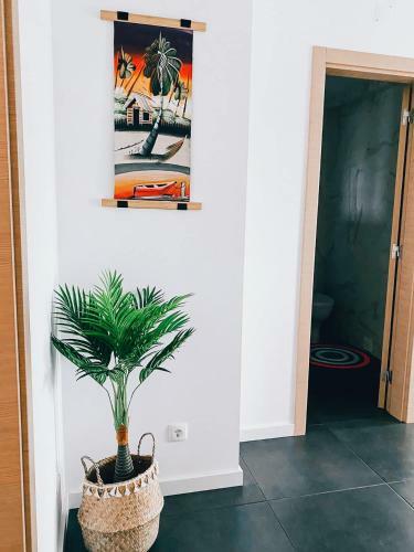 Sunshine Apartment