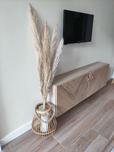Apartamento 1-min Walk From The Beach - New Decor