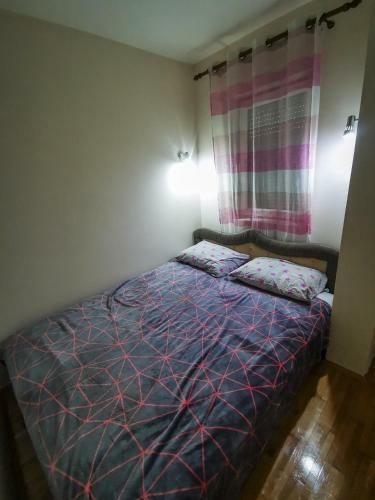 Cosy Apartman Zvezdara