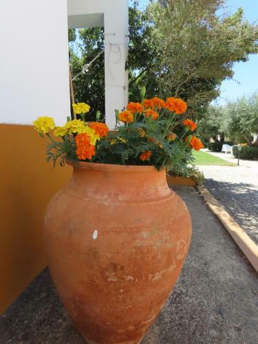 Agroturismo Monte Al�m Tejo
