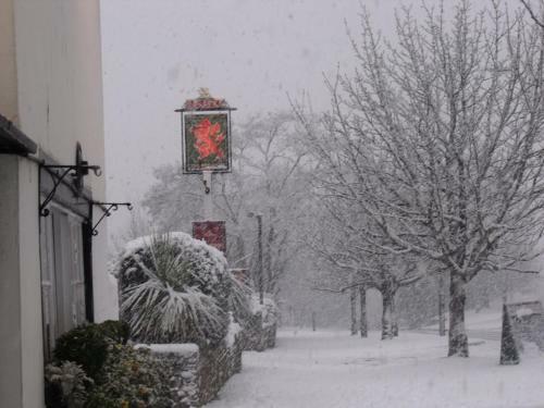 The Red Lion Hotel