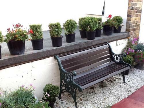 Hostal Waterside Bed And Breakfast