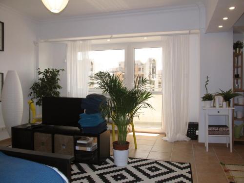 Apartamento My Little Studio