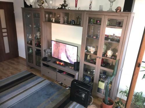 Luxury Apartment Mihai Bravu