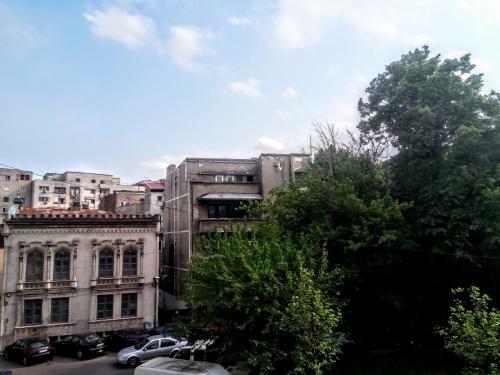 Apartamento Cozy Downtown Oasis