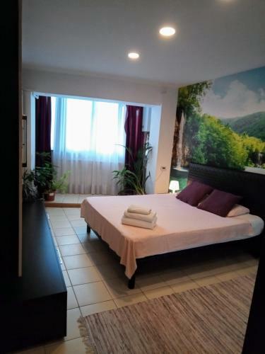 Apartamento Cozy Downtown Oasis