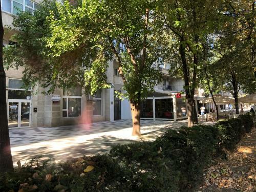Green Apartment 63