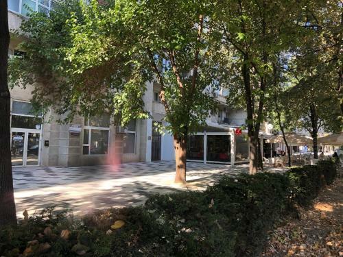 Green Apartment 63