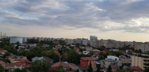 Green Apartment 63