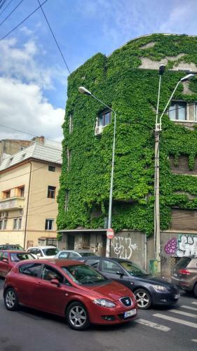 Apartamento Central Green House