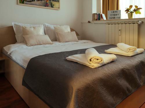 Cantemir Sunny Apartment