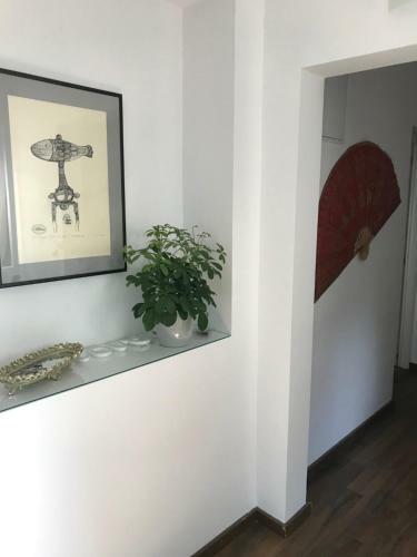 Apartamento Olympia 23 Studio