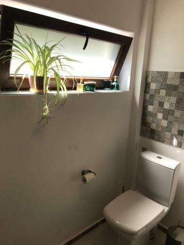 Apartamento Olympia 23 Studio