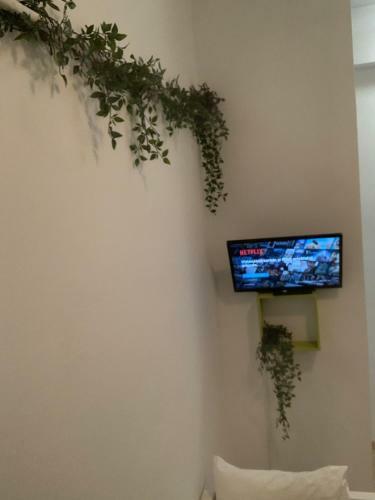 Bucarest B&B
