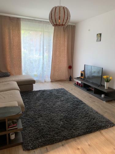 Beautiful Greenfield Apartment