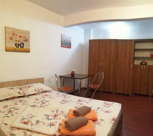 Apartamento Doamnei Studio