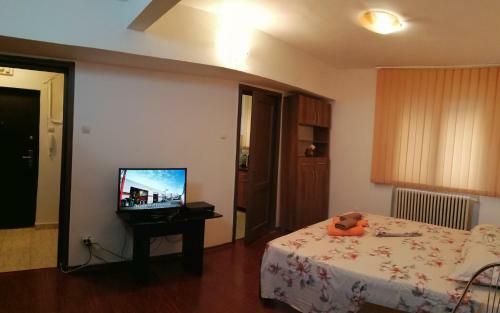 Apartamento Doamnei Studio