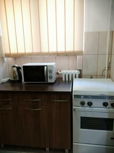 Apartamento Doamnei Studio