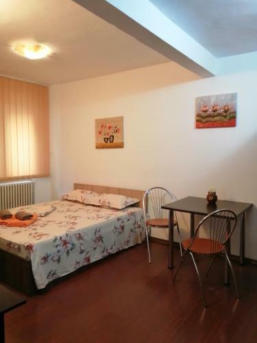 Apartamento Doamnei Studio