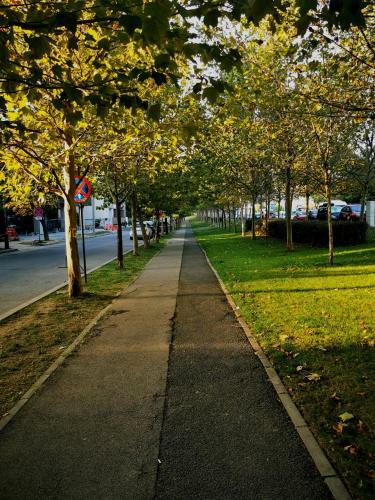 Apartamento Herastrau Nordului
