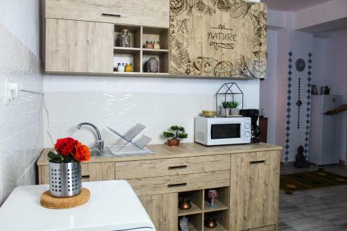 Nirvana Apartament