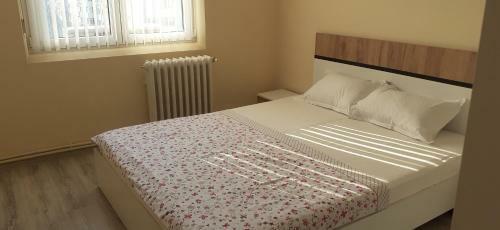Apartament Alexandra