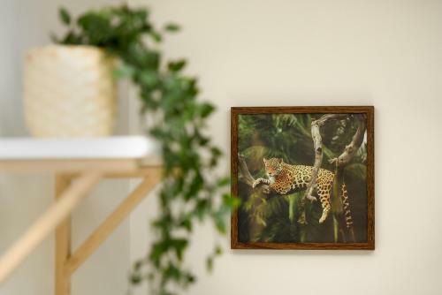 Apartamento Plants Attic Studio - Best Location - Old Town