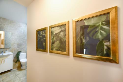 Apartamento Plants Attic Studio - Best Location - Old Town