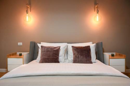 The Dream Apartment - Near Radisson Hotel