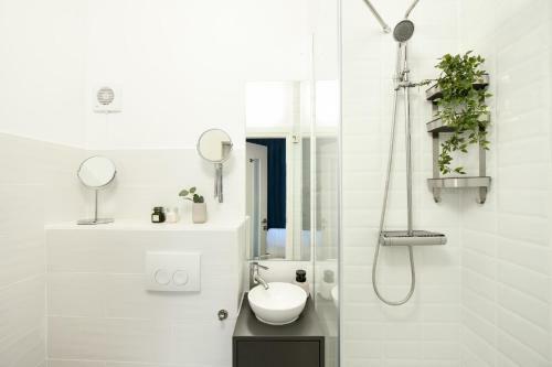 The Dream Apartment - Near Radisson Hotel