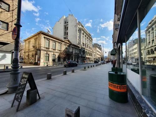 Victoriei Downtown 91-93 Apartment