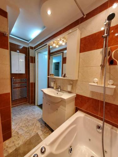 Victoriei Downtown 91-93 Apartment