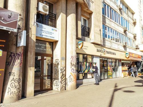 Apartamento Piata Unirii - Old Town - 2br