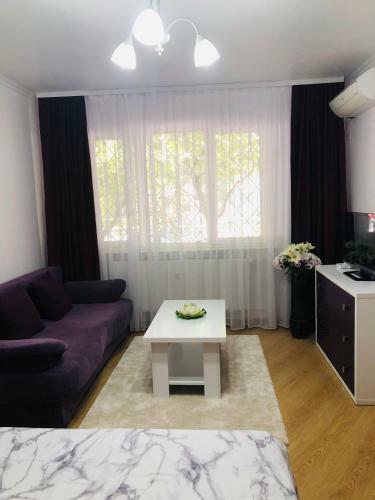 Apartamento Cozy Studio Romexpo