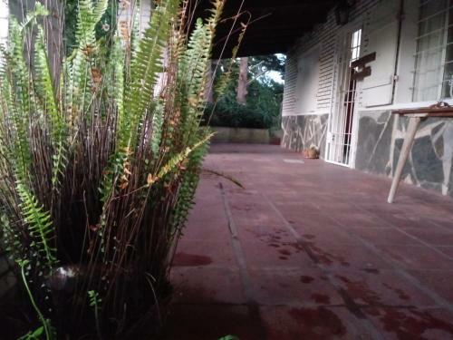 Casa Tipo Hostel, Por Habitaci�n