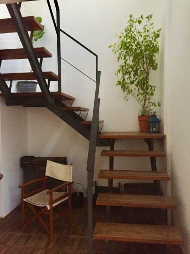 Apartamento Penthouse Duplex En Pocitos