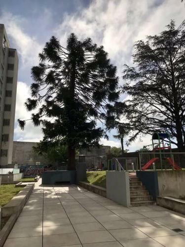 Apartamento Cuarto Privado En Pleno Coraz�n De Montevideo